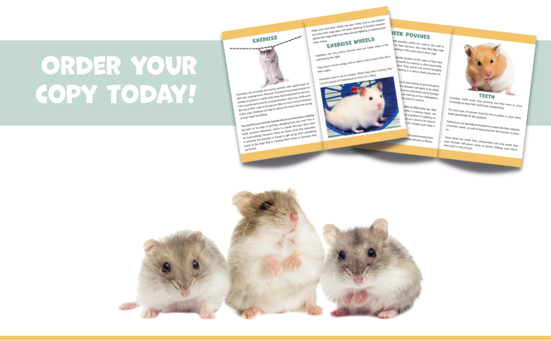 Hamsters The Complete Care Guide Inside